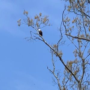 Meet your Posher, Ben